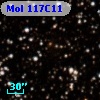 Mol 117C11