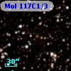 Mol 117C1/3
