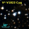 V* V1823 Cyg