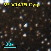 V* V1475 Cyg