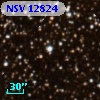 NSV 12824