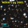 NOVA Cyg 2001