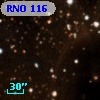 RNO 116