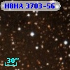 HBHA 3703-56