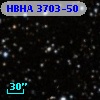 HBHA 3703-50