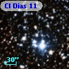 Cl Dias  11