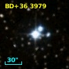 BD+36  3979
