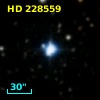 HD 228559