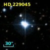 HD 229045