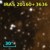 IRAS 20160+3636