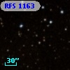 RFS 1163