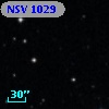 NSV  1029