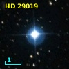HD  29019