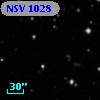 NSV  1028