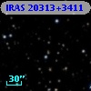 IRAS 20313+3411