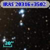 IRAS 20316+3502