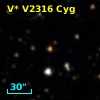 V* V2316 Cyg