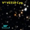 V* V2318 Cyg