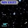 NSV 13172