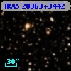 IRAS 20363+3442