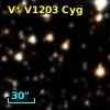V* V1203 Cyg