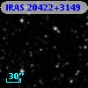 IRAS 20422+3149