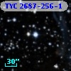 TYC 2687-256-1