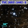 TYC 2687-1442-1