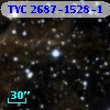 TYC 2687-1528-1