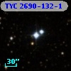 TYC 2690-132-1