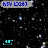 NSV 13287