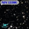 NSV 13306