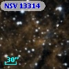 NSV 13314
