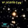 V* V1978 Cyg