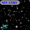 NSV 13365