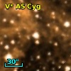 V* AS Cyg