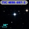 TYC 4090-607-1