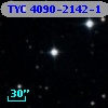 TYC 4090-2142-1