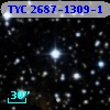 TYC 2687-1309-1