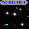 TYC 4091-613-1
