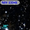 NSV 13341