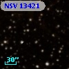 NSV 13421