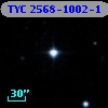 TYC 2568-1002-1
