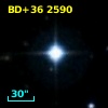 BD+36  2590
