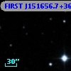FIRST J151656.7+361141