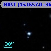 FIRST J151657.0+361841