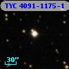 TYC 4091-1175-1