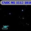 CNOC MS 1512  101681