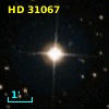 HD  31067