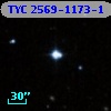 TYC 2569-1173-1